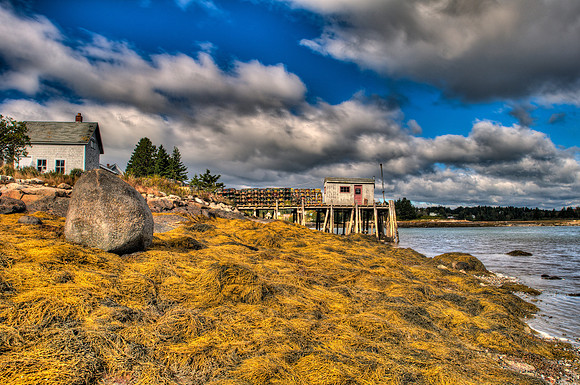 Low Tide