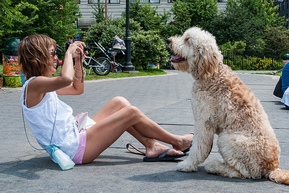 "Man's" Best Friend