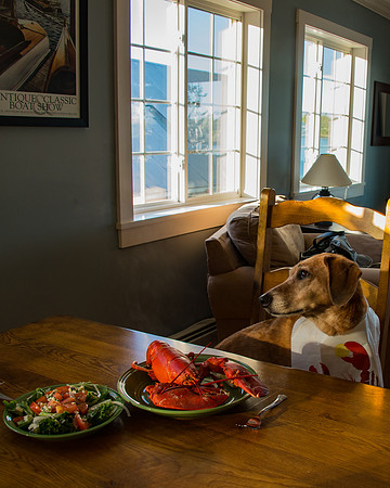 Can I eat yet...?